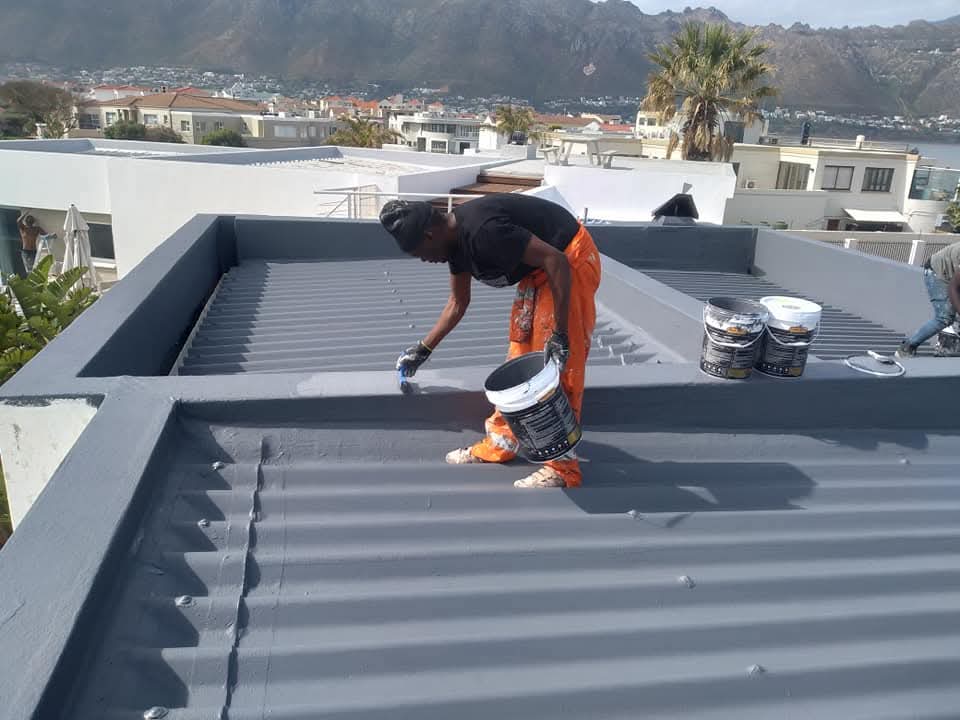 Roof waterproofing and painting — sea view